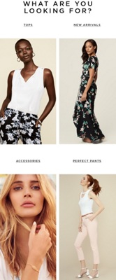 le chateau women's clothing